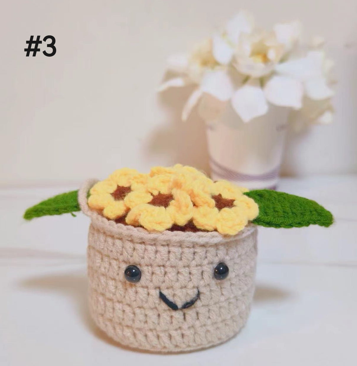 Crochet Car Hanging Plants with Smiling Faces, Crochet Succulent Plant, Crochet Car Hanging Potted Flowers Plants, Crochet Plant