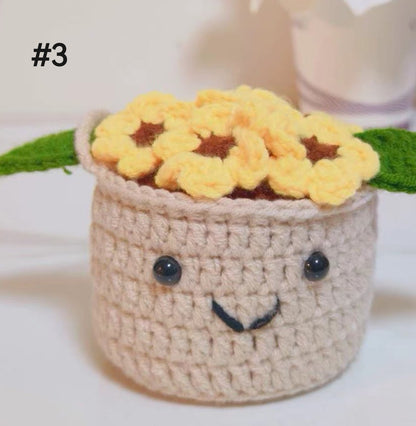 Crochet Car Hanging Plants with Smiling Faces, Crochet Succulent Plant, Crochet Car Hanging Potted Flowers Plants, Crochet Plant