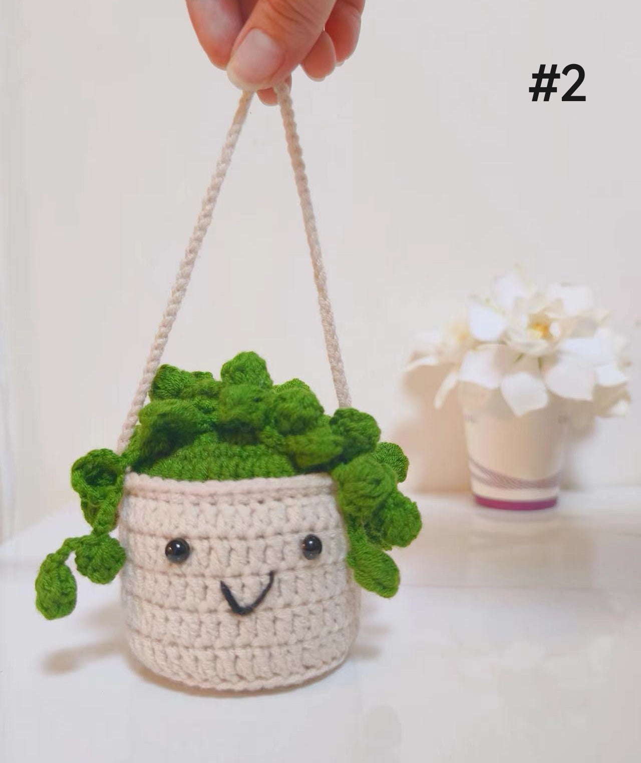 Crochet Car Hanging Plants with Smiling Faces, Crochet Succulent Plant, Crochet Car Hanging Potted Flowers Plants, Crochet Plant