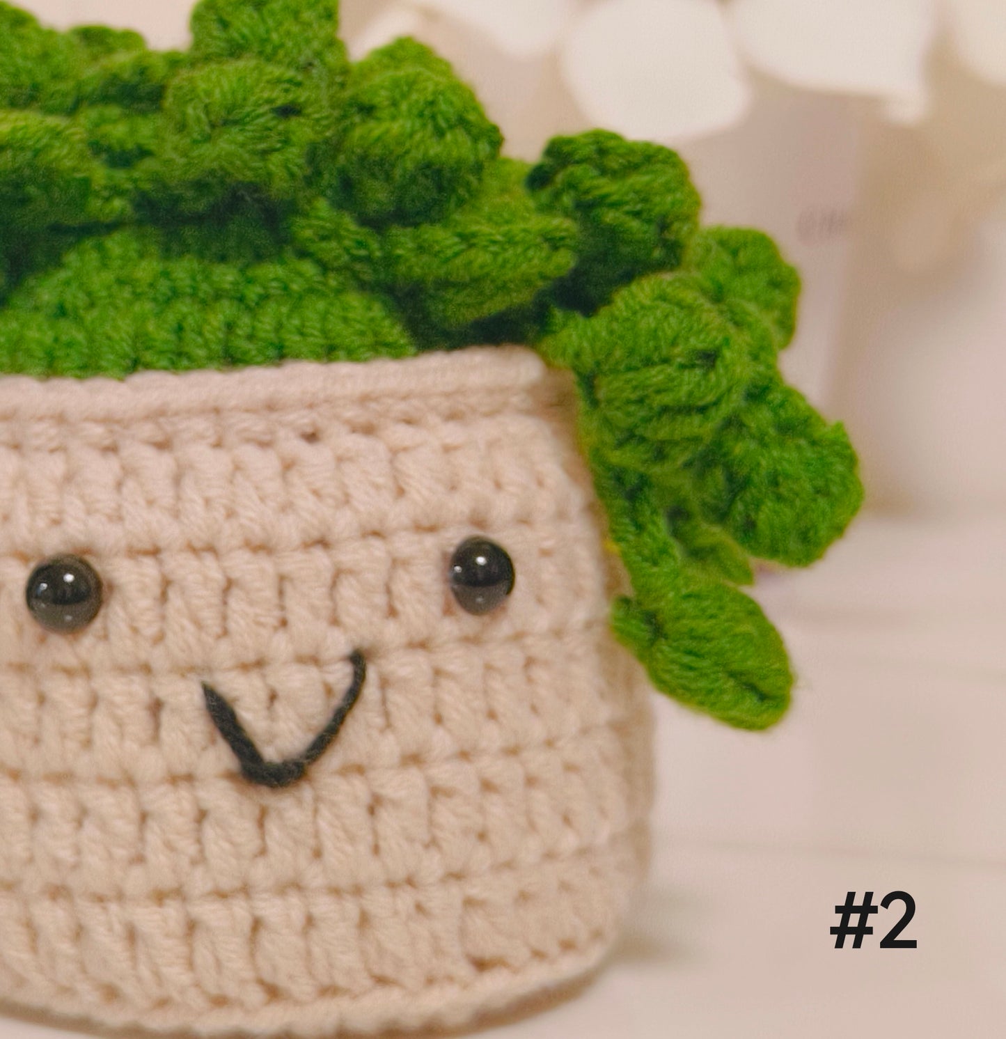 Crochet Car Hanging Plants with Smiling Faces, Crochet Succulent Plant, Crochet Car Hanging Potted Flowers Plants, Crochet Plant